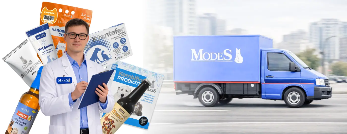 Партнерство з ModeS